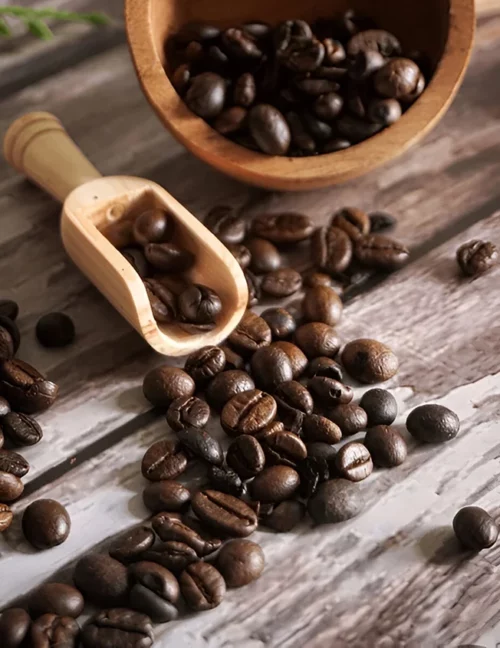 Scouar P Cafes Torrefacteur Daoulas Cafe 1